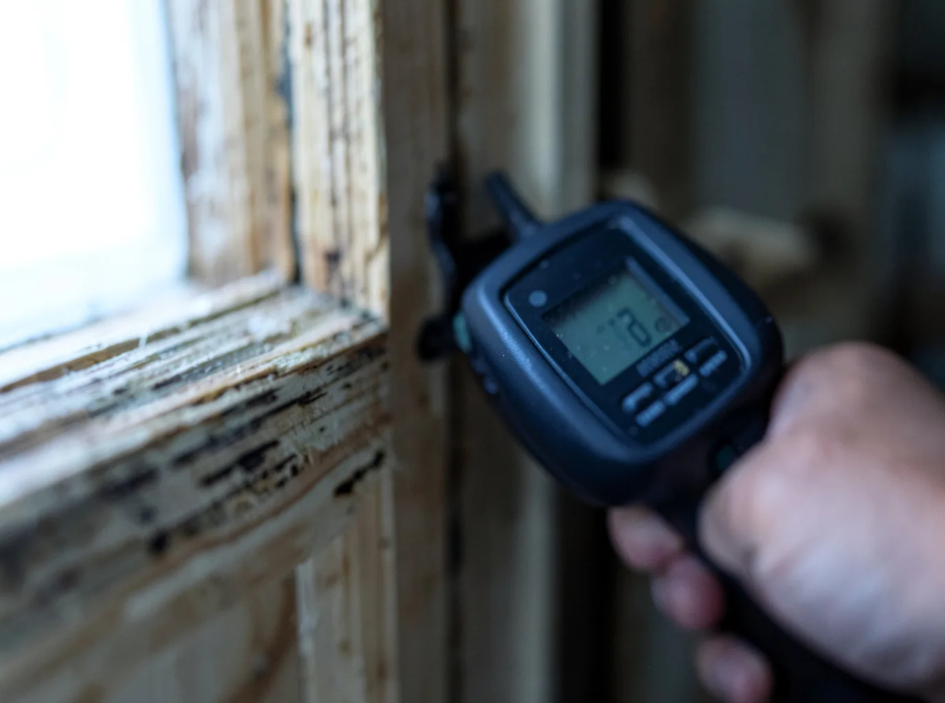 Commercial Water Damage Restoration in Purlear, NC